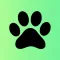 Woof Workouts