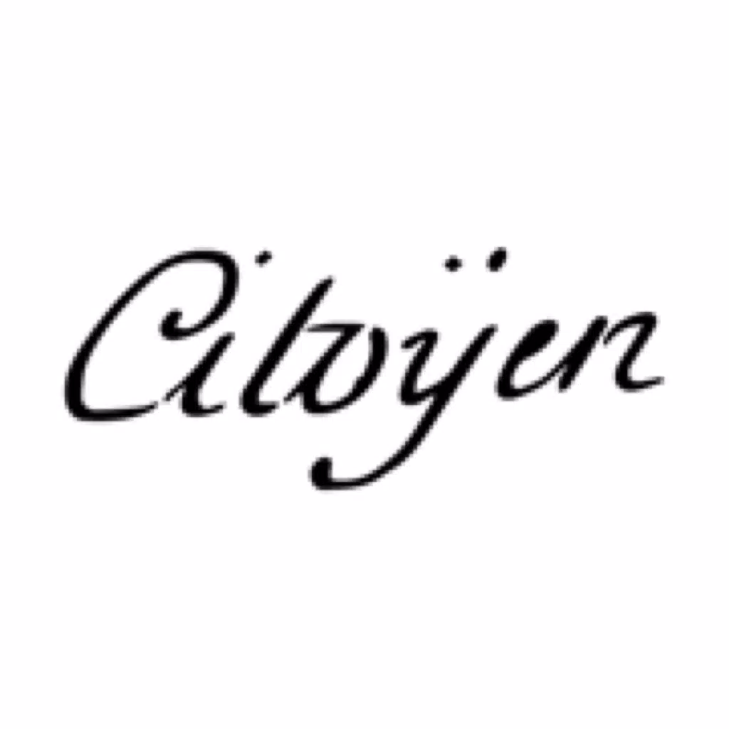 Citoyen Citoyen