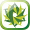 Searchly - Search Smartly with Social Insights