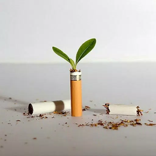 Quit Smoking by Music Quit Smoking by Music