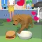 Pet Feeding