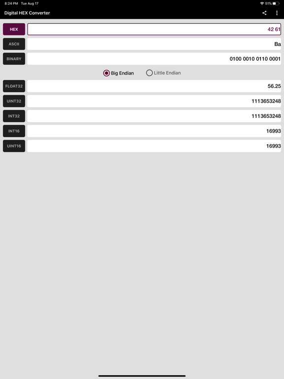 Digital Hex Converter iPad Screenshots