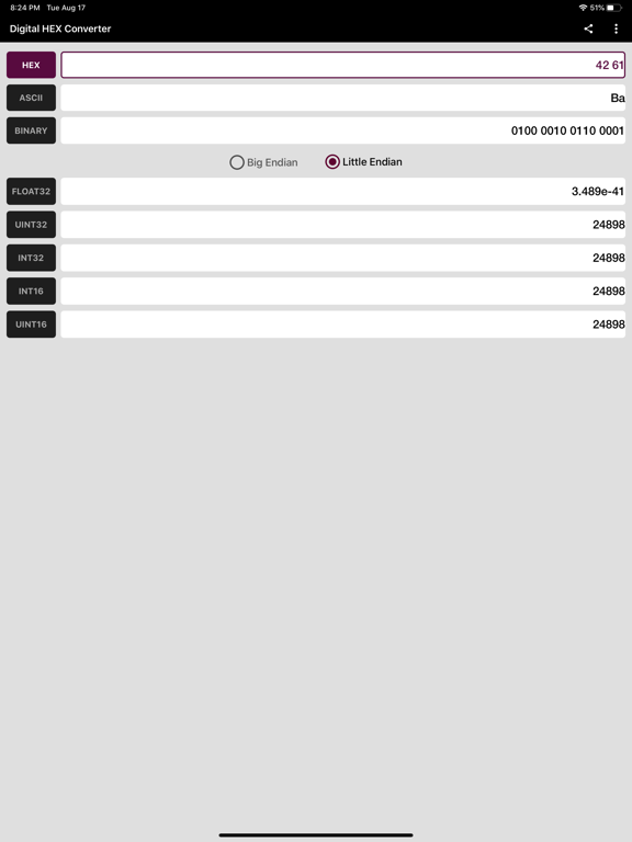 Digital Hex Converter iPad Screenshots