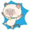 Simi the Siamese kitten 3 for iMessage Sticker