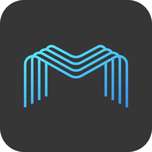 M-VMS Mobile M-VMS Mobile