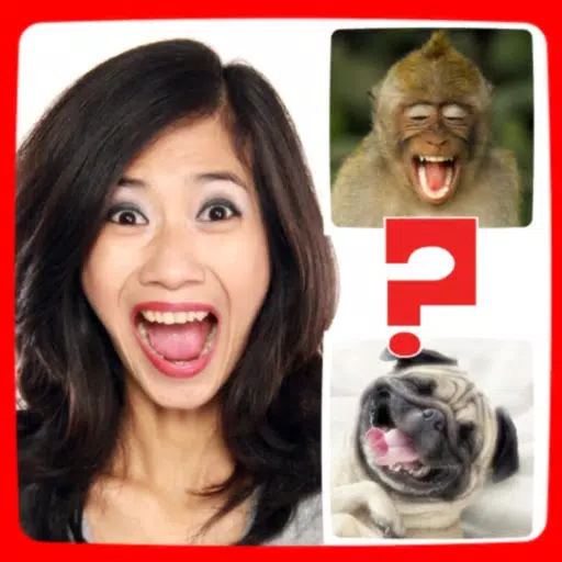 Funny Animals Mimics Funny Animals Mimics