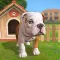 Virtual Dog Adventure