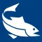 Fish iReports