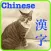 Chinese Ping Ying 中国漢字発音