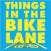 Things In Bike Lanes Denver