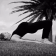 Lisa Pollard Yoga