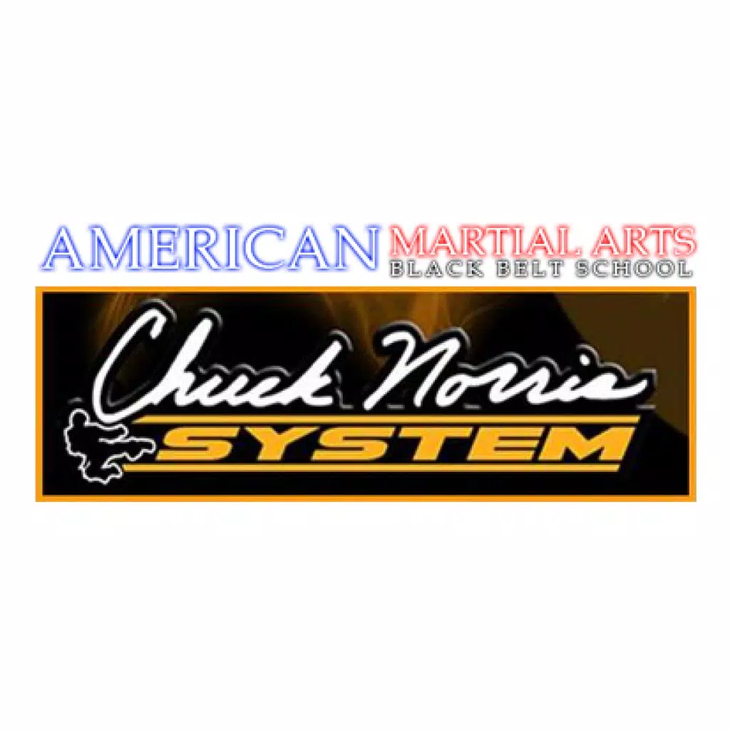 AMERICAN MARTIAL ARTS TRAINING