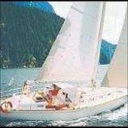 Capt. Mac's Sailing School Capt. Mac's Sailing School