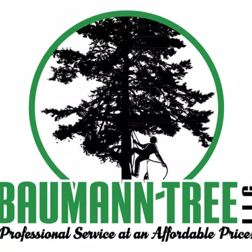 Baumann Tree Baumann Tree