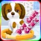 Dog Pet Care Clinic