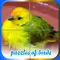 Puzzles of Birds Free