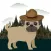 Pugs in Hats