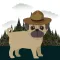 Pugs in Hats