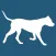 Dog Facts Texts