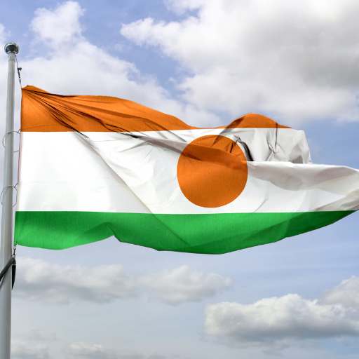 Niger flag
