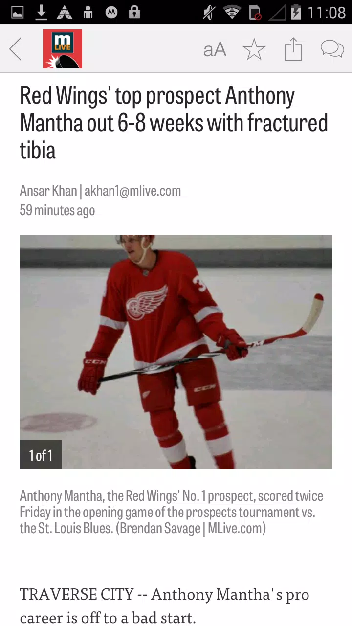 MLive.com: Red Wings News Screenshots