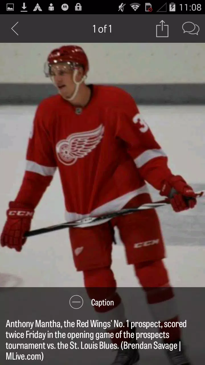 MLive.com: Red Wings News Screenshots