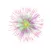 Fireworks Stickers Pack!