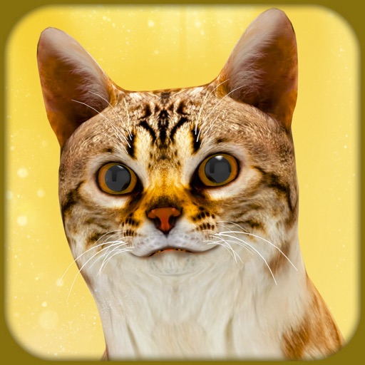 Pregnant Cat & Cute Kitty Game Pregnant Cat & Cute Kitty Game