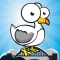 Geordie Seagull
