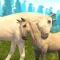 Horse riding animal simulator