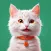 My virtual pet Cat Games