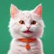 My virtual pet Cat Games