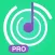 Hearing PRO:ear training.Notes
