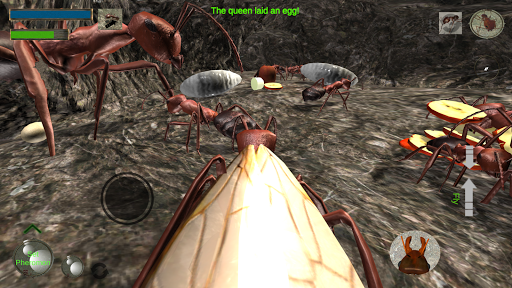 Ant Simulation 3D Full Screenshots