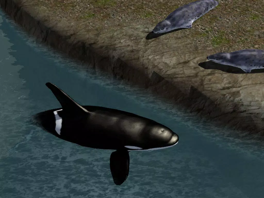 Скриншоты Orca Whale Simulator iPad 