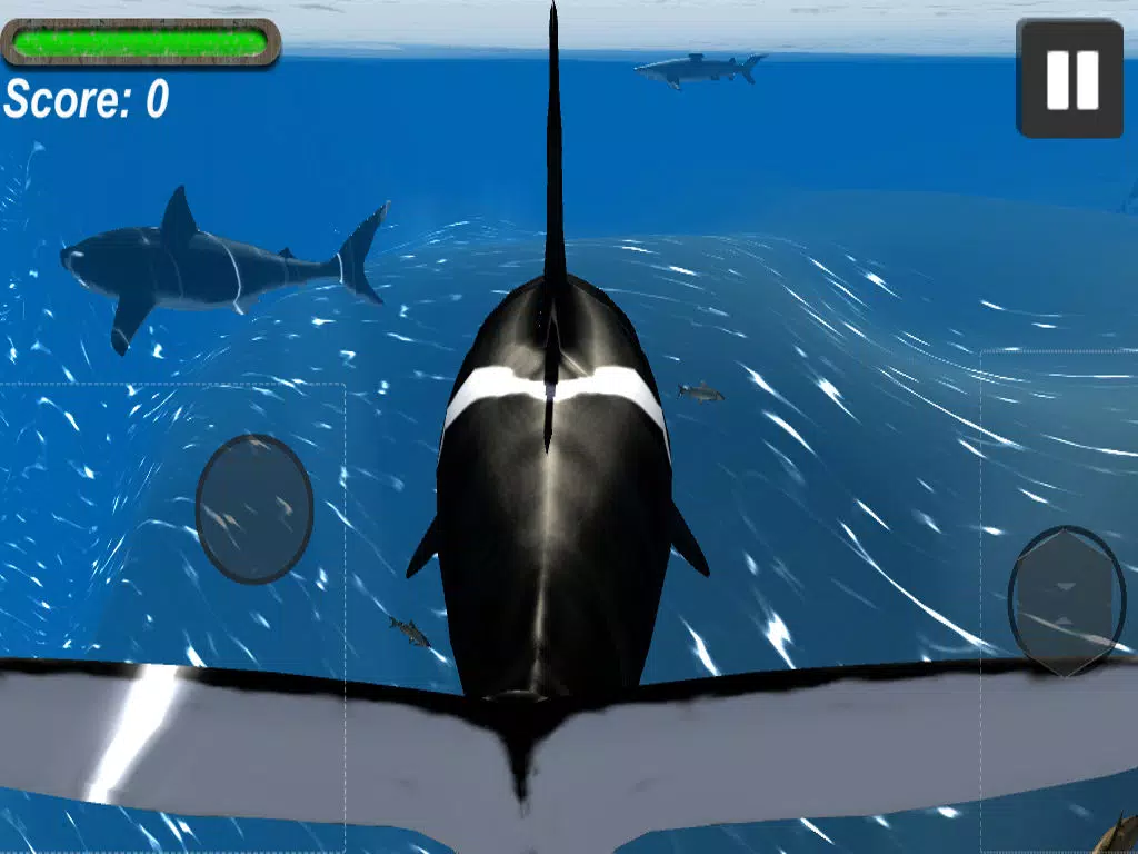 Скриншоты Orca Whale Simulator iPad 