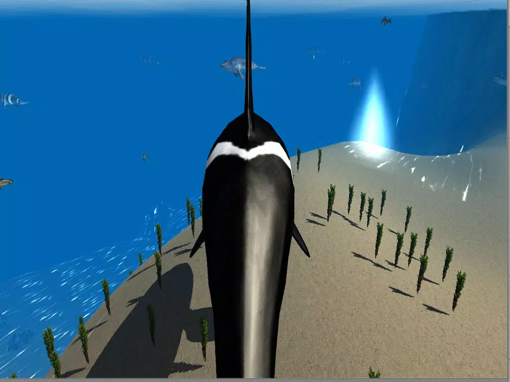 Скриншоты Orca Whale Simulator iPad 