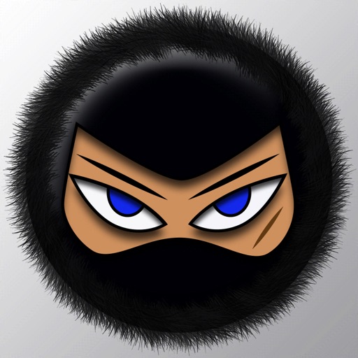 Furball Ninja Furball Ninja