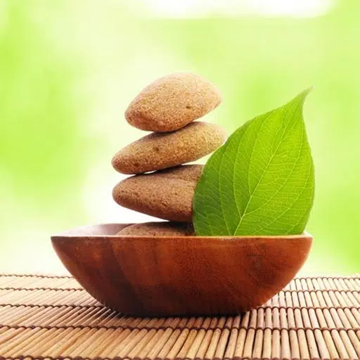 Took Took Thai Massage Took Took Thai Massage