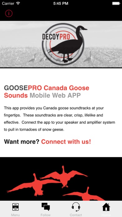 Goose Hunting Calls-Goose Sounds-Goose Call App Screenshots