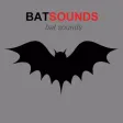 Bat Sounds & Scary Sounds