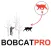 Bobcat Hunting Strategy for Predator Hunting