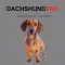 Dachshund Dog Sounds