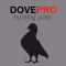 REAL Dove Calls and Dove Sounds for Bird Hunting!