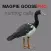REAL Magpie Goose Calls - Hunting Calls for Magpie Geese - (ad free) BLUETOOTH COMPATIBLE