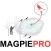 Magpie Hunting Strategy - Plan Your Magpie Hunting Trip