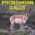 Pronghorn Hunting Calls & Big Game Calls