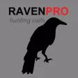 REAL Raven Hunting Calls - 7 REAL Raven CALLS & Raven Sounds! - Raven e-Caller - Ad Free - BLUETOOTH COMPATIBLE