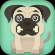 Pug Need Bone