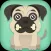 Pug Need Bone